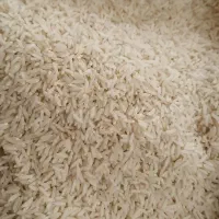 برنج طارم هاشمی کشت دوم|خوردنی و آشامیدنی|سرخرود, |دیوار