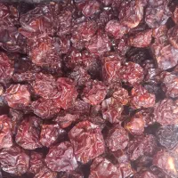 میوه خشک آلوچه-زردالو-دانه زردالو