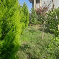 هرس و علف زنی وکلیه خدمات باغبانی|خدمات باغبانی و درختکاری|بندر انزلی, دهکده ساحلی|دیوار