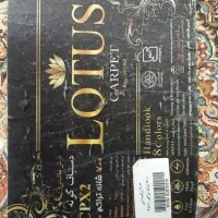 فرش فروشی|فرش|مریوان, |دیوار