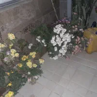 باغ ویلا ۵۰۰ متری در مزرعه امند|فروش خانه و ویلا|صوفیان, |دیوار