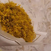 گل خشک نو|گل مصنوعی|تهران, افسریه شمالی|دیوار