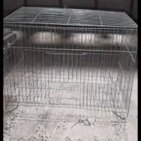 قفس و لانه کیف حمل|حراج|تالش, هشتپر|دیوار