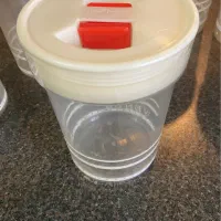 طرف بنشن شش عدد  با درب|ظروف نگهدارنده، پلاستیکی، یک‌بارمصرف|تهران, اختیاریه|دیوار