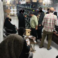 کوتوله‌مرغ‌عشق‌گرینچیک‌ملنگو‌برزیلی‌فنچ‌سهره‌طوطی