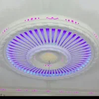 سفید کار ی و گچبری درجه ۱|خدمات پیشه و مهارت|اهواز, پردیس دو|دیوار