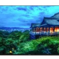 تلویزیون ال ای دی ۶۵ اینچ پارس