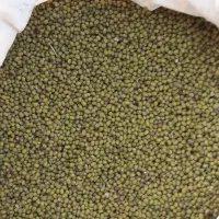 لوبیا تنظیم بازار|خوردنی و آشامیدنی|هرسین, |دیوار