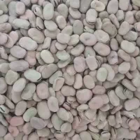 باقله|خوردنی و آشامیدنی|ششده و قره بلاغ, |دیوار