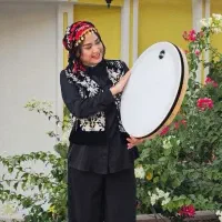 دف سفید پالس