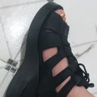 کفش|کیف، کفش، کمربند|دزفول, |دیوار