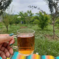 ۲۰۰متر زمین باغی مسکونی|فروش زمین و ملک کلنگی|مینودشت, |دیوار