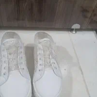 کفش|کیف، کفش، کمربند|قروه, |دیوار