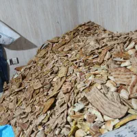 نان خشک تمیز بدون سبوس و کپک