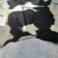 تابلو فرش|تابلو فرش|تهران, صادقیه|دیوار