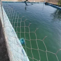 فروش باغ 180قصبه (3600 هزار مترباغ)|فروش خانه و ویلا|ابرکوه, |دیوار