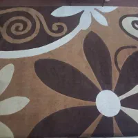 تخت نوجوان وگلیم فرش ۱۲متری