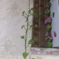 گل طبیعی