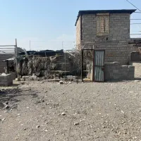 اجاره دامداری