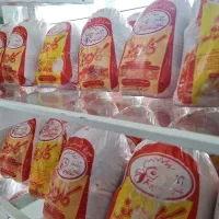 توزیع  گوشت تاز مرغ تعاونی