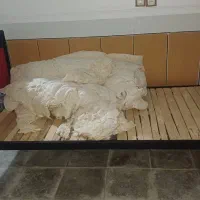 فروش تخت خواب