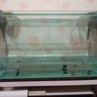 آکواریوم با تمام تجهیزات و قیمت مناسب|ماهی|بندرعباس, |دیوار