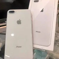 حراجی زیر قیمت بازار نایاب