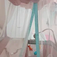 تخت پارک|تخت و صندلی بچه|تهران, مینی‌سیتی (شهرک نفت)|دیوار