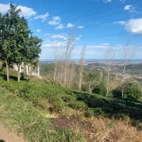 فروش زمین با کاربری مسکونی روستای ورکوره|فروش زمین و ملک کلنگی|رانکوه, |دیوار