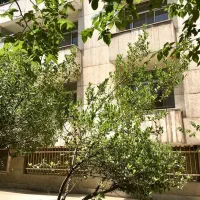 کلنگی-ویلا-ولنجک-1060-متر