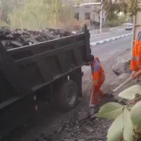 بلوک و مصالح حمل نخاله|مصالح و تجهیزات ساختمان|پردیس, فاز ۴|دیوار