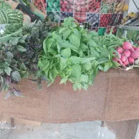 میوه سرای بهارنارنج با قیمت های استثنائی|خوردنی و آشامیدنی|اندیمشک, |دیوار