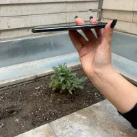 آیفون ایکس مکس|موبایل|لنجان, |دیوار