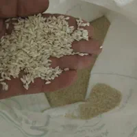 برنج عنبر بو