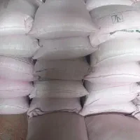 گندم بذری ریژاو وسرداری