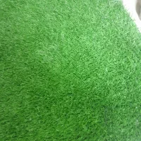 چمن مصنوعی|گل مصنوعی|فردیس, شهرک راه آهن|دیوار