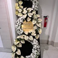 تاج گل|گل و گیاه طبیعی|مشهد, امیریه|دیوار