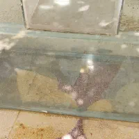 ۳ اکواریوم بزرگ با هم