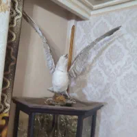 مجسمه مرغ ماهی خوار