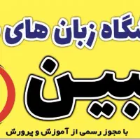 مدرس زبان (آقا)