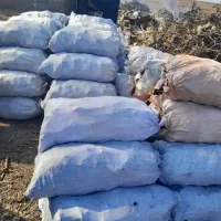 انواع زغال درجه یک|عمدهفروشی|رشت, بازار|دیوار