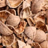 خرید پوست گردو به قیمت ۳۰۰۰۰ تومان