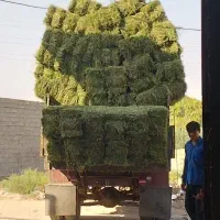 یونجه پرس خوزستان