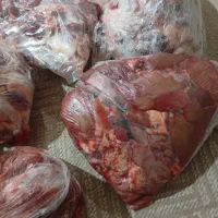 جگر وسنگدون