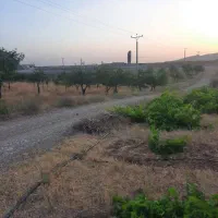 مجموعه مناسب سرمایه گذاری|فروش دفتر صنعتی، کشاورزی، تجاری|قیدار, |دیوار