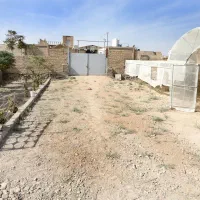 گلخانه نوساز دیوار نرده|فروش دفتر صنعتی، کشاورزی، تجاری|قرچک, داوود آباد|دیوار