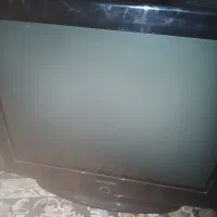 تلوزیون