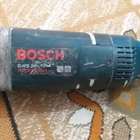 سنجد بزرگ بوش