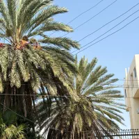 ۲۷۰ متری نوساز پیوندی