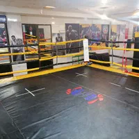 اموزش مبارزات (هنر های رزمی ترکیبی) MMA - UFC|خدمات آموزشی|مشهد, کوه سنگی|دیوار